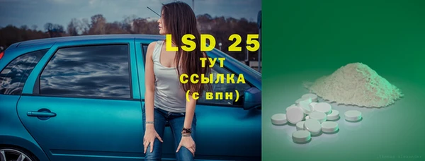 спайс Горняк