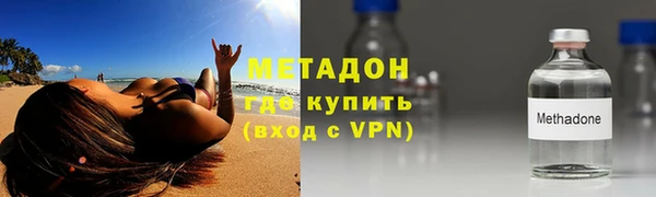 прущие грибы Вяземский