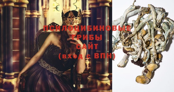 стаф Горно-Алтайск